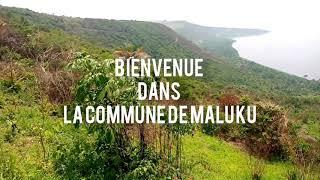 CONCESSION DE 60.000 M² À VENDRE À KINSHASA/ MALUKU VILLAGE IYE À 1KM DE LA ROUTE ASPHALTE