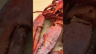 How to break a lobster crack-crack #lobster #spinylobster #lobstertail