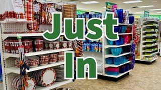 Dollar Tree 2024 | NEW Finds This Week