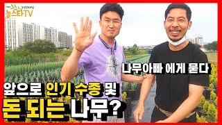 어떤 나무가 돈 되는 나무일까? : 나무재테크, 어떻게 키워야 잘키울까? ( 은퇴 및 귀농 준비는 어떻게? )