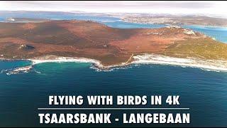 Flying Like a Bird by Drone at Tsaarsbank