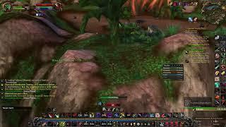 Leveling Gnome Rogue on a 99% Horde Server