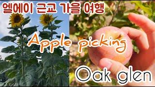 SUB) Oak glen autumn trip/Apple picking trip/ los rios rancho apple picking/ los rios rancho