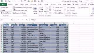 CFO Learning Pro - Excel Edition - "Visual Filters"