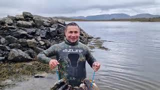 Spearfishing in Norway