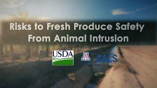 Risks to Fresh Produce Safety from Animal Intrusions