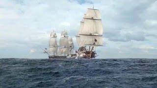 Черные Паруса | Black Sails | Капитан Вэйн