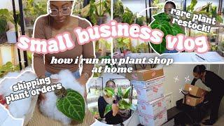 Running a Plant Store From Home Vlog🪴: Packing & Shipping Houseplants, Weekly Rare Plant Restock!