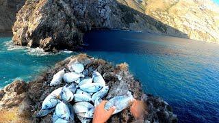 We went to a remote island camping and sargos fishing and barracuda