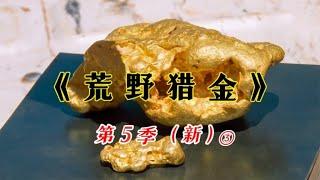 新荒野猎金S5③：隔壁邻居发现大块狗头金与之合作不成，寻宝人心有不甘循着大块狗金的足迹，租下一片新的土地大获两块手掌大的金块