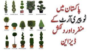 Topiary Art (wire art) in Pakistan || Successful business in Pakistan