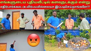 காலையிலயே கத்திய தூக்க வைச்சிட்டாங்ஙளே!!️️/SSV VLOG/jaffna vlog