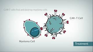 How does CAR T cell therapy work?