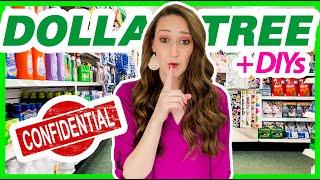 Secrets of DOLLAR TREE! (I didn't know!) + Hidden Gems & SPRING DIYs 2022!