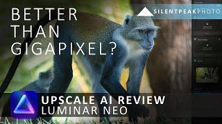 Luminar Neo Upscale AI Review - Convenient for Neo owners, but well beaten by Topaz Gigapixel AI