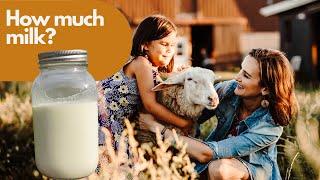 How much milk do dairy sheep produce? East Friesian Sheep