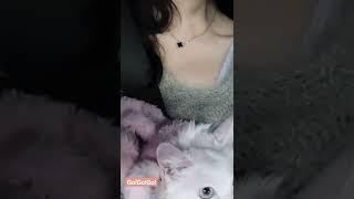 #김교수 #쇼핑 나온 #새침냥이