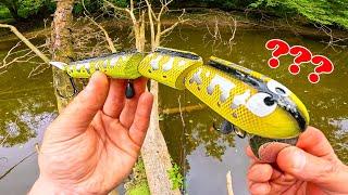 Un leurre serpent pour pêcher les monstres de la rivière ! ( GROSSE SURPRISE )