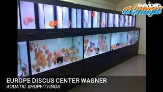 Europe Discus Center -- Pet & Aquatic shop fitting by Aquaja