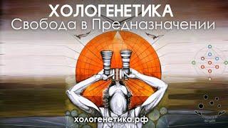 Хологенетика: тело, здоровье, земля личности, солнце личности в бодиграфе.