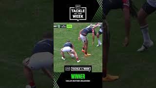 Dom v DWZ ‍️ #nrl