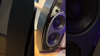 Diora acoustics Lada 7 vs Diora Polaris 300 sound compression.