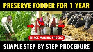 Silage Making Process | How to make Silage for Cows / Goats | Cattle Feed Making Method