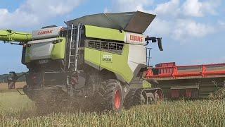 Raps dreschen 2x Lexion 8900-13.80m Vario,Fendt 728 Krampe TW 800