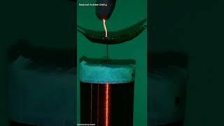 Science Experiment School Project | High Voltage Tesla Coil Vs Chilli | #shorts #science