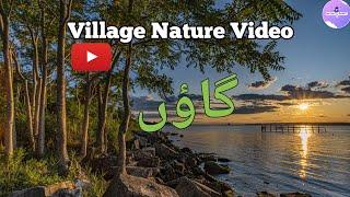 Village Nature Video || Peaceful Village Life