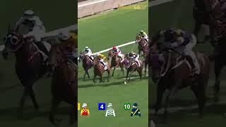 First off the bridle, first past the post!  #horse #horseracing #hkracing #horsesports #horseraces