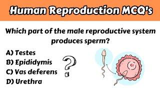 Human Reproduction Class 12 | Human Reproduction MCQ | Human Reproduction MCQ NEET