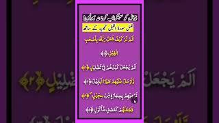 Learn Quran online at home official#shorts#youtubeshorts#surahalfeel#viralshorts