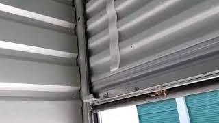 Black Widow Bonanza! We Evicted Hundreds from a Neglected Storage Unit! Sacramento Spider Control