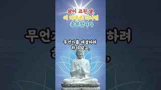 부처님 말씀 삶이 고된 날, 이 마음씀 하나면 충분합니다|삶이고된날|마음씀|불교수행|마음치유|등불편지|깨달음|불교명언|오늘의한마디|인간관계|고요한삶|불교오디오북