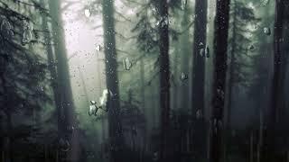 the hanging tree - jennifer lawrence & james howard // with Rain // (Slowed + Reverb + Loop)