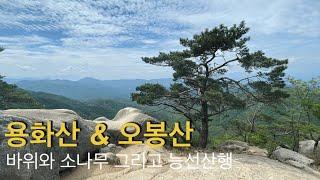 210515 / 용화산 & 오봉산 / 큰고개-용화산-고탄령-사여령-배후령-오봉산-청솔바위-홈통바위-촛대바위-청평사 / 능선산행 / 소나무와 바위 / 암벽하산 /