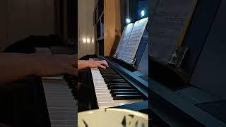 Love Story - Francis Lai (cover by Laurence lairie)