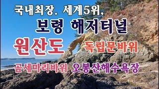 [여행을 떠나요]보령 해저터널(국내최장,세계5위), 원산도 해안트레킹 오봉산해수욕장 곰세마리바위