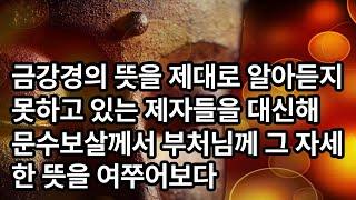 불설대승금강경론 금강경의 뜻을 제대로 알아듣지 못하고 있는 제자들을 대신해 문수보살께서 부처님께 그 자세한 뜻을 여쭈어보다