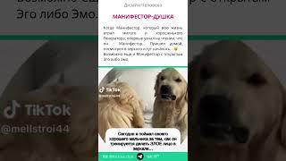 Манифестор-душка... после чтения... | Дизайн Человека #shorts #дизайнчеловека #манифестор