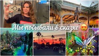 Vlog. Будни со мной #usa #arizona #сша