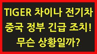 차이나 전기차 SOLACTIVE 주가 전망 타이거 TIGER ETF 레버리지 중국 2차전지 배터리 주식 장기 투자 장투 단타 구성 종목 긴급 조치 나왔다! 뭘까?