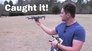 Caught by hand! - DJI Mavic Pro