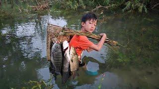 FULL VIDEO 25days Highland boy Khai traps fish, harvests soft-shell turtles and eels to sell.