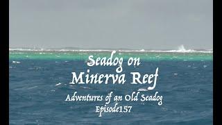 Seadog on Minerva reef.  Adventures of an Old Seadog, ep 157