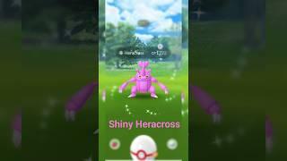 Getting lucky Shiny Heracross caught in mega raid l mega Heracross l #1k #shinyheracross #shiny