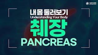 Pancreas [Understanding Your Body]