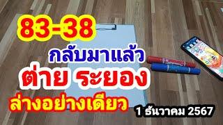 83-38 กลับมาแล้ว#ต่าย ระยอง#ล่างอย่างเดียว#1/12/67