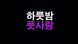 하룻밤 풋사랑/박영모 /캐논볼T5R/나발로 피스